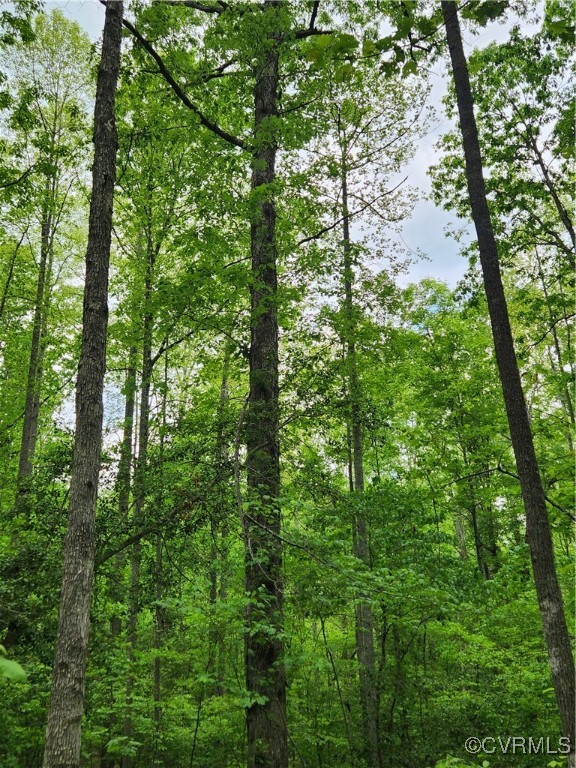 0 Robinson Road Goochland, VA 23063 - Photo 17 of 27 Gallery Image 17