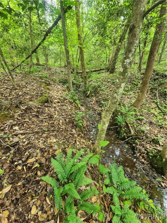 0 Robinson Road Goochland, VA 23063 - Photo 19 of 27 Notice the log in the center of the picture, the s