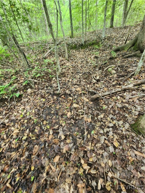 0 Robinson Road Goochland, VA 23063 - Photo 20 of 27 One of the side springs