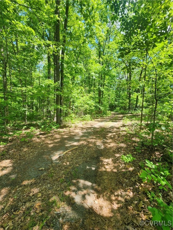 50' easement leading through the property.