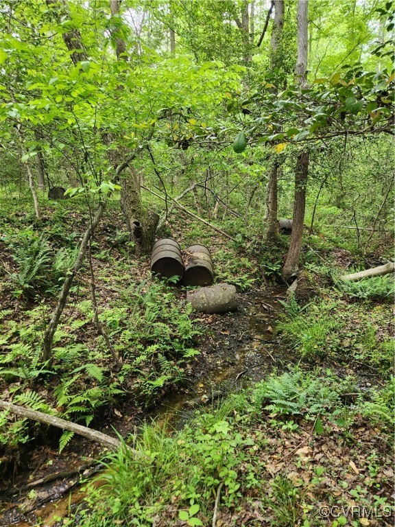 0 Robinson Road Goochland, VA 23063 - Photo 21 of 27 Old moonshine still?