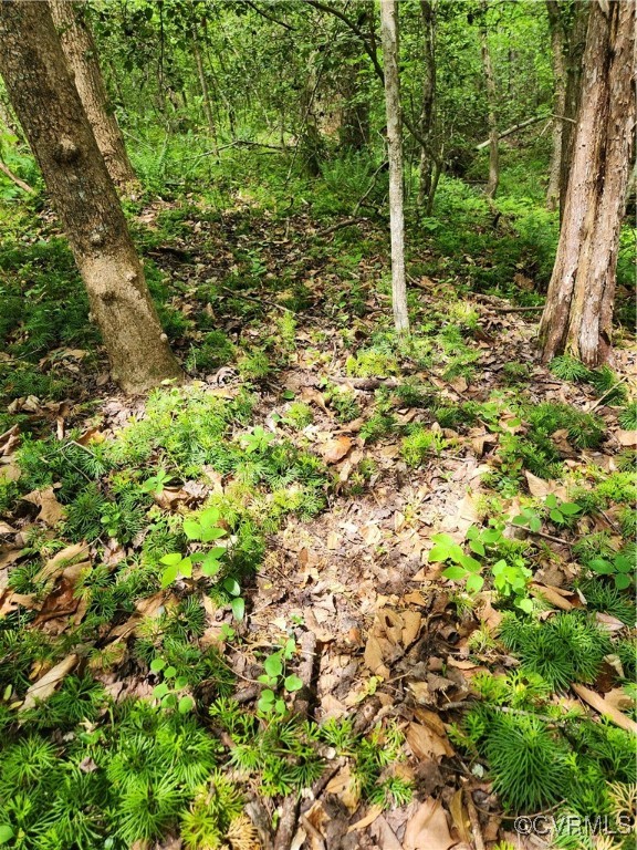 0 Robinson Road Goochland, VA 23063 - Photo 22 of 27 Game trail near the old still