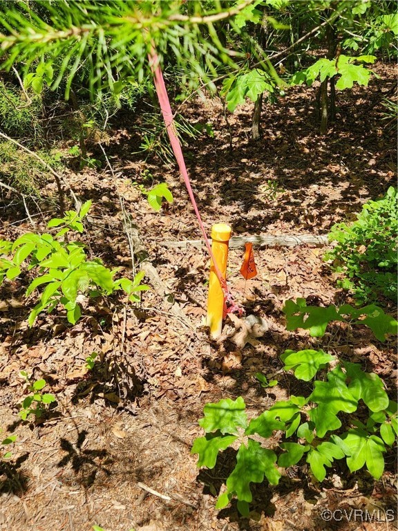 A few of the property corners were visible.  This