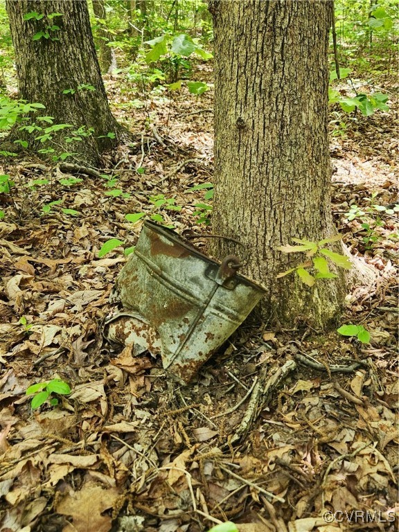 0 Robinson Road Goochland, VA 23063 - Photo 8 of 27 Signs of the past