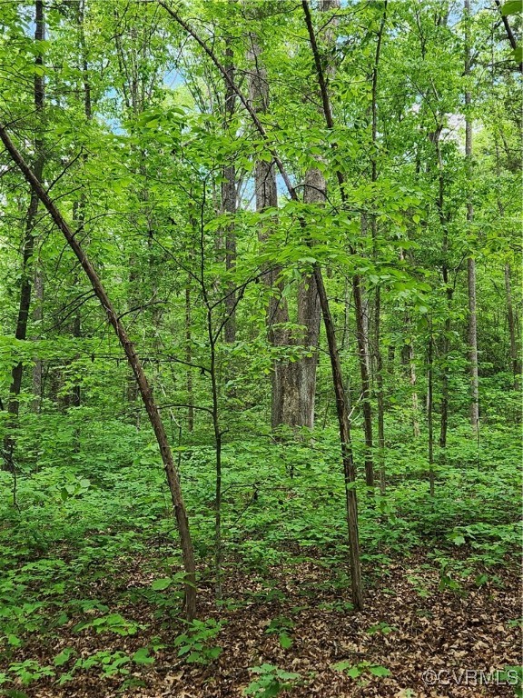 0 Robinson Road Goochland, VA 23063 - Photo 9 of 27 Typical white oak