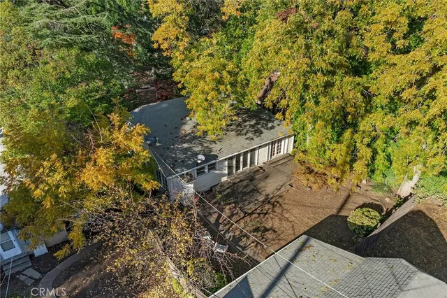 a view of a yard with plants and wooden fence