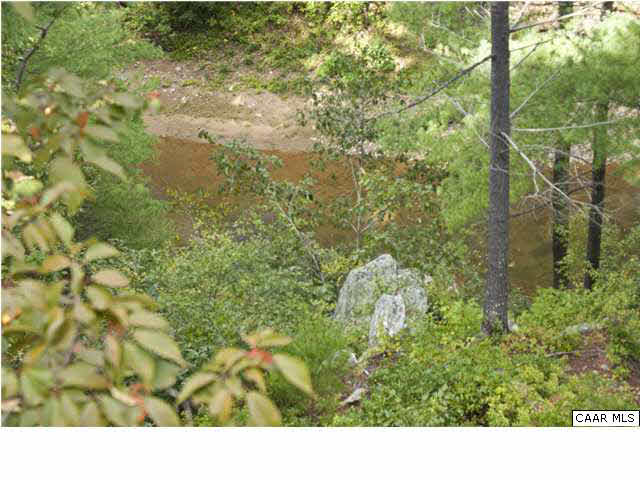 3280 Ridge Road Charlottesville, VA 22901 - Photo 27 of 30 a view of a forest