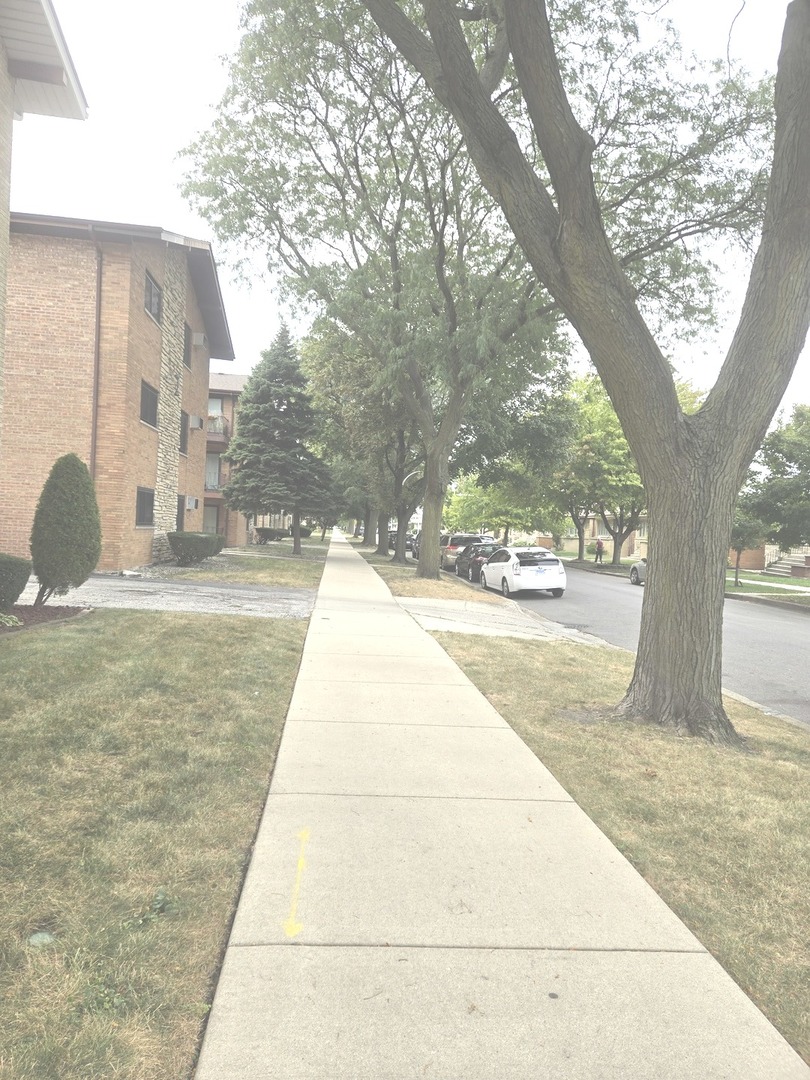 6019 West 64th Place, Unit 234 Chicago, IL 60638 - Photo 3 of 11