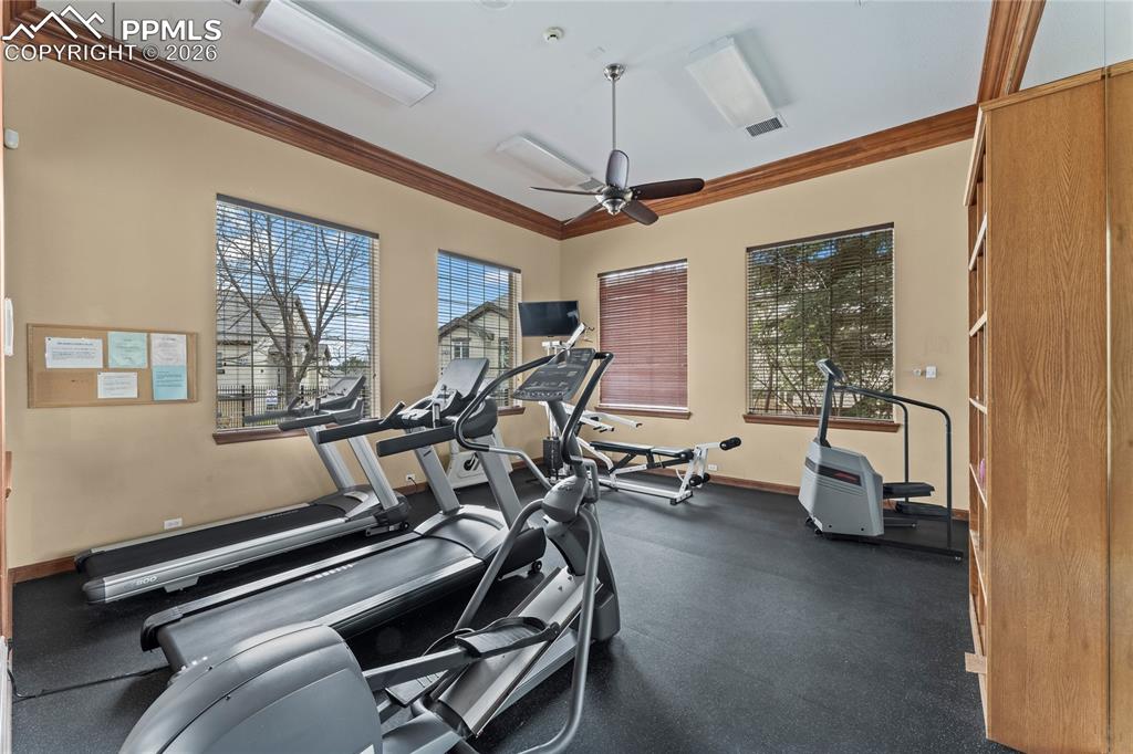 3976 Riviera Grove, Unit 203 Colorado Springs, CO 80922 - Photo 43 of 45 a view of a room with gym equipment