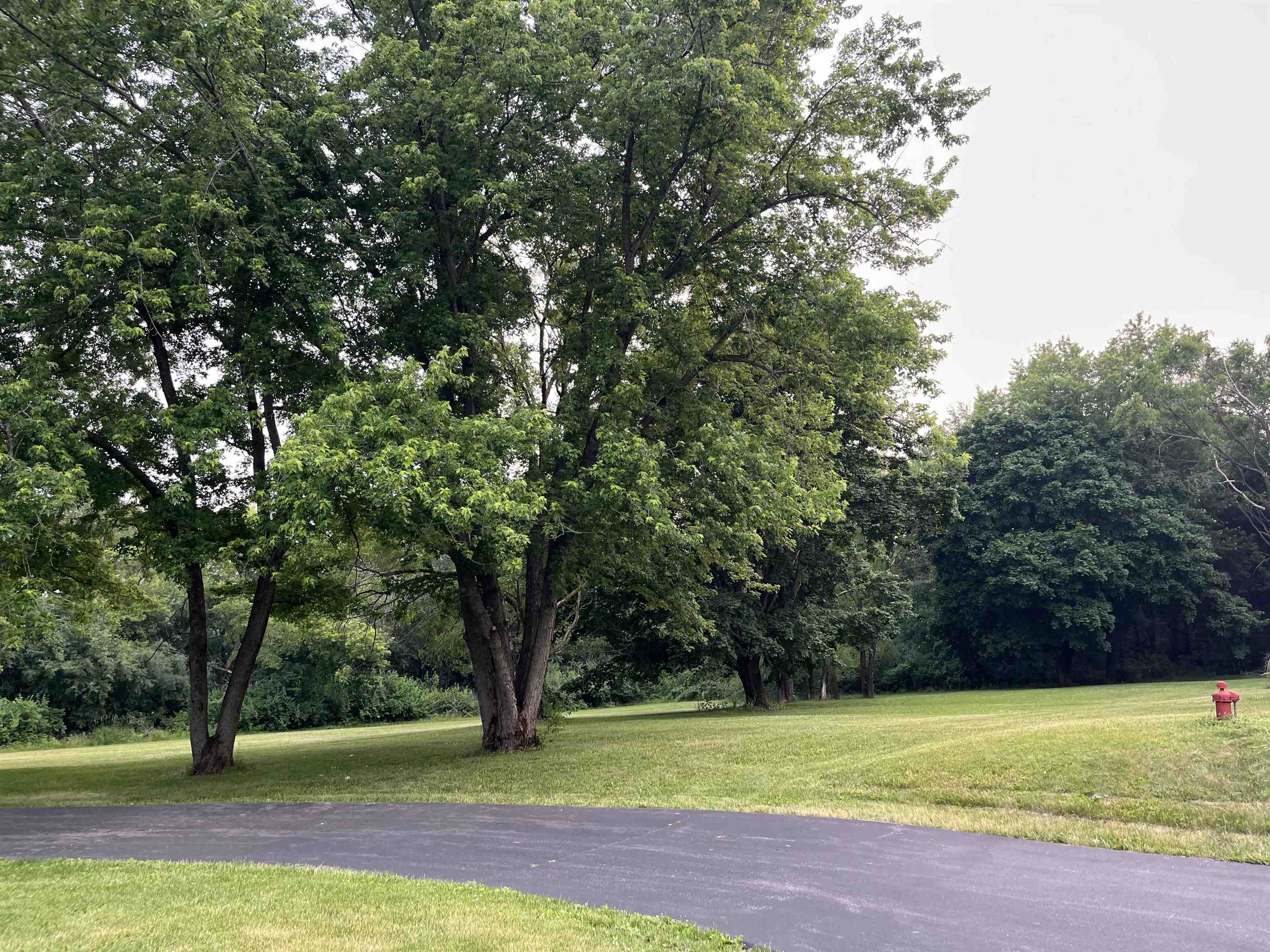 17850 Caledonia Road Caledonia, IL 61011 - Photo 5 of 20 a view of a yard with a trees