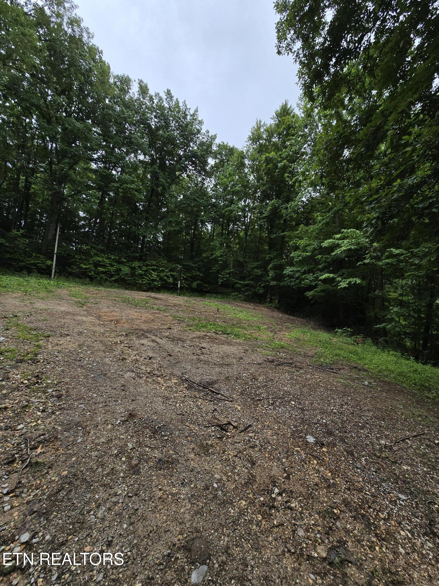 689 Ivey Hollow Road La Follette, TN 37766 - Photo 3 of 12 1000007087