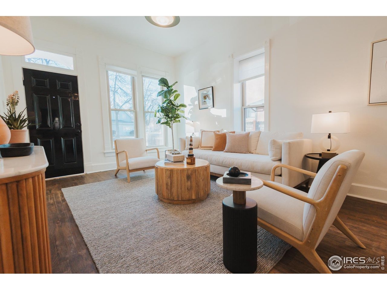 506 South Howes Street Fort Collins, CO 80521 - Photo 7 of 37 a living room with furniture and a fireplace