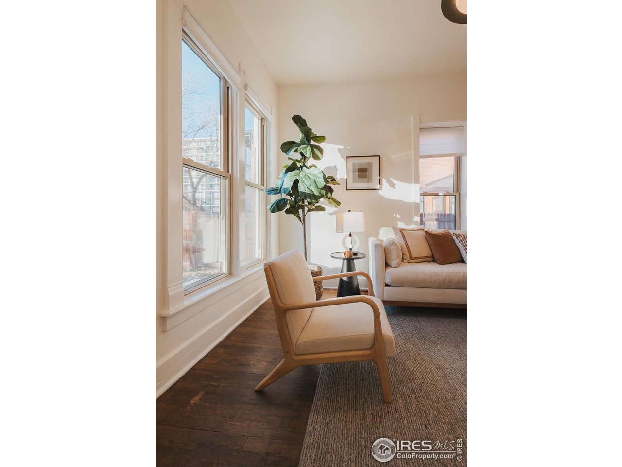 506 South Howes Street Fort Collins, CO 80521 - Photo 10 of 37 a living room with furniture and a potted plant