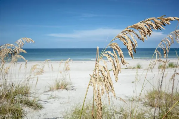 $4,500 | 3000 Pass A Grille Way, St. Pete Beach, FL 33706