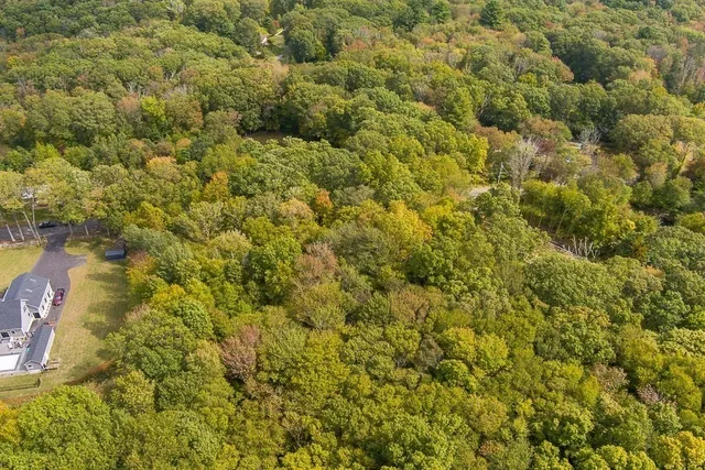 a view of a yard of a building