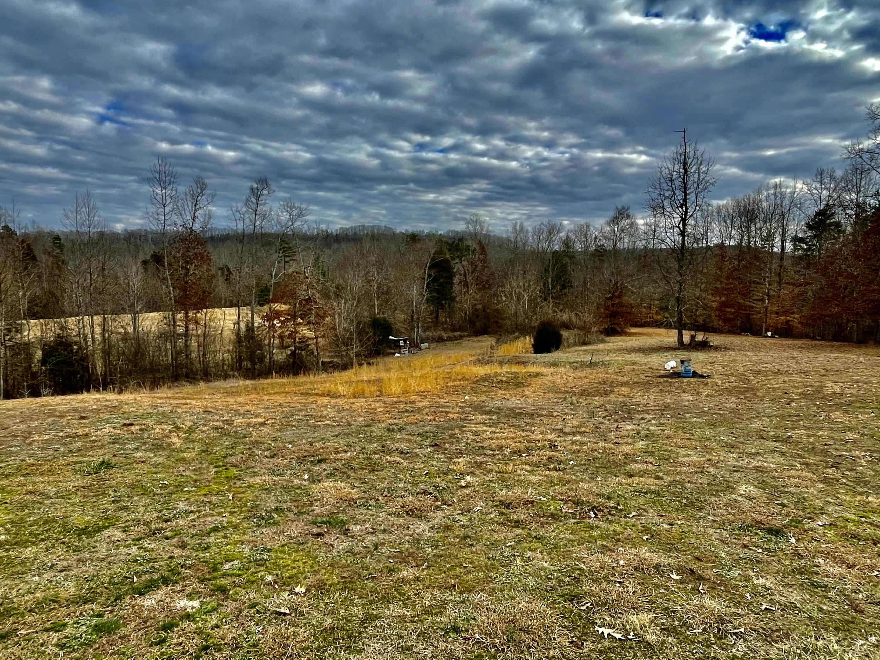 16035 Blue Springs Road Philadelphia, TN 37846 - Photo 3 of 7 IMG_2980