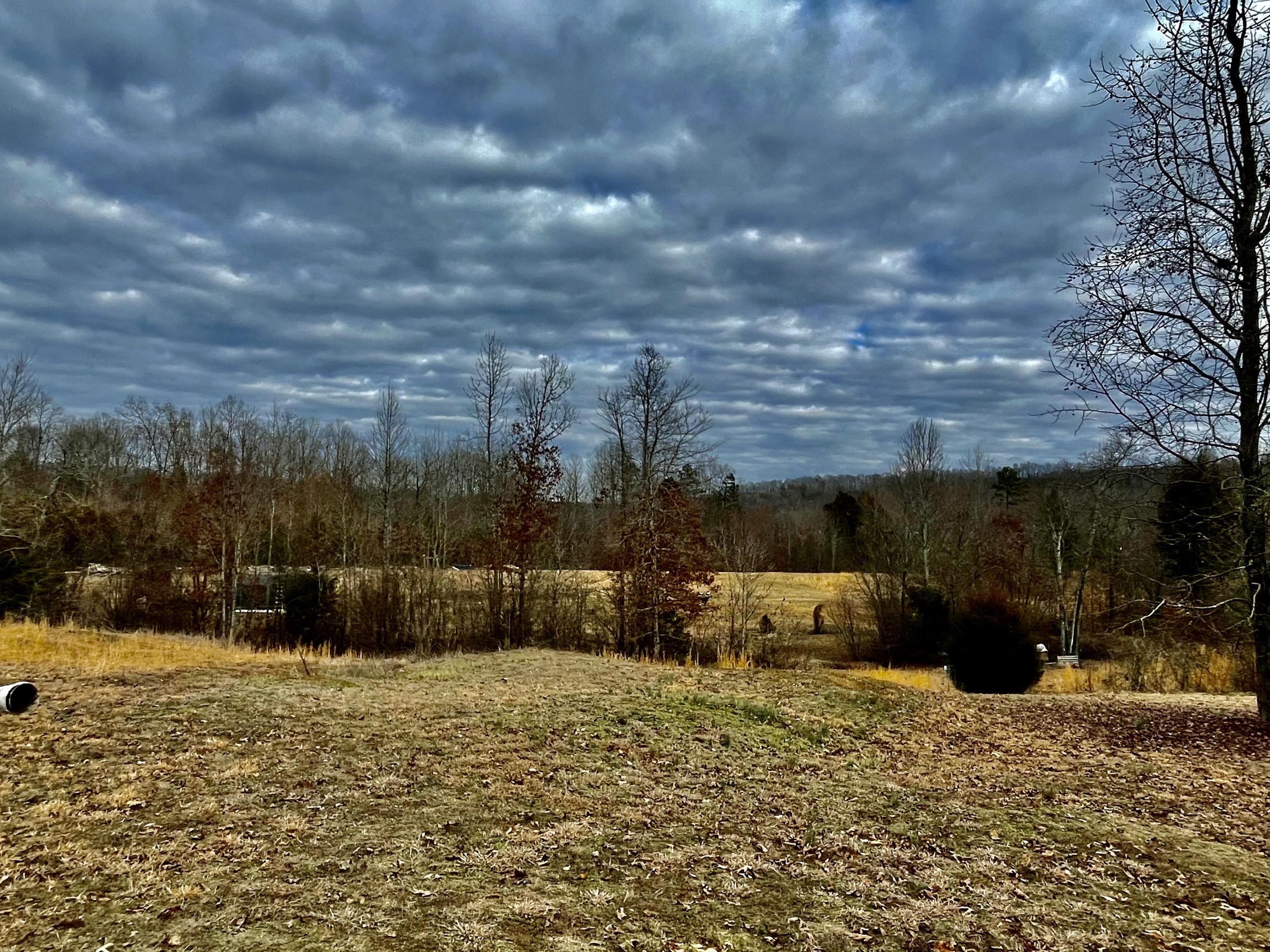 16035 Blue Springs Road Philadelphia, TN 37846 - Photo 6 of 7 IMG_2983