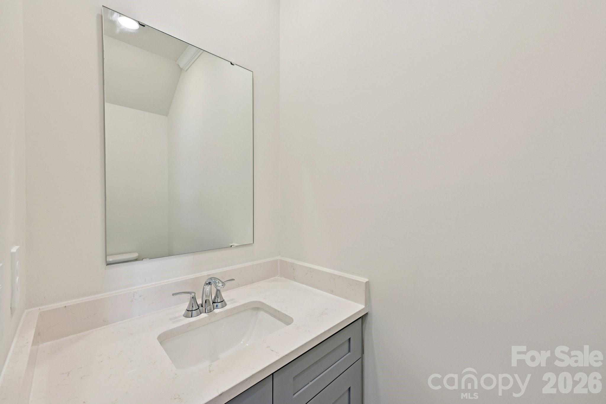 254 Tiger Lily Drive Fort Mill, SC 29708 - Photo 9 of 24
