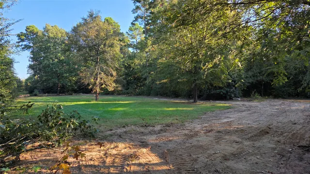 a view of outdoor space with deck and yard