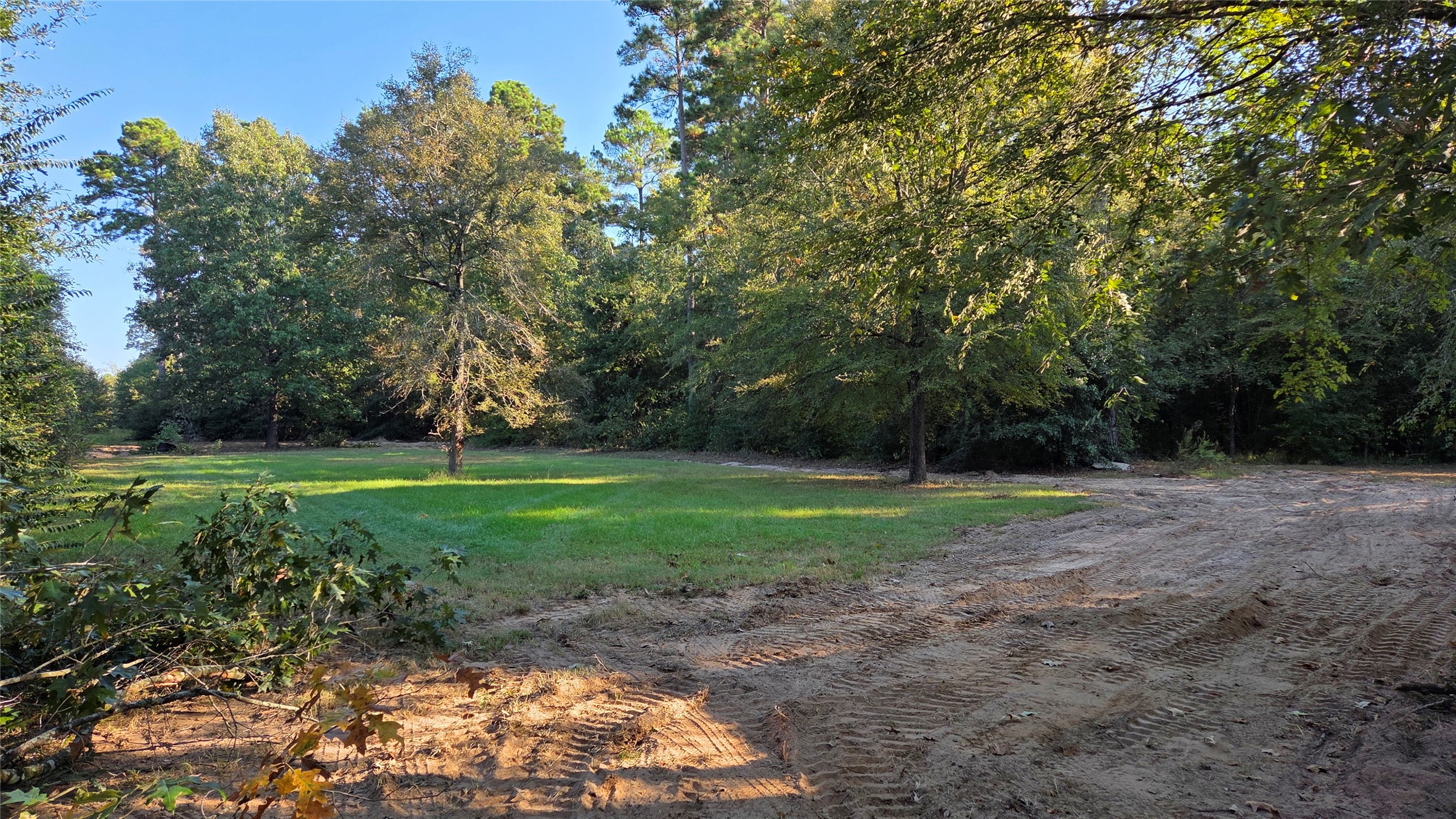 21150 Arnsworth Road Montgomery, TX 77356 - Photo 2 of 16 a view of outdoor space with deck and yard
