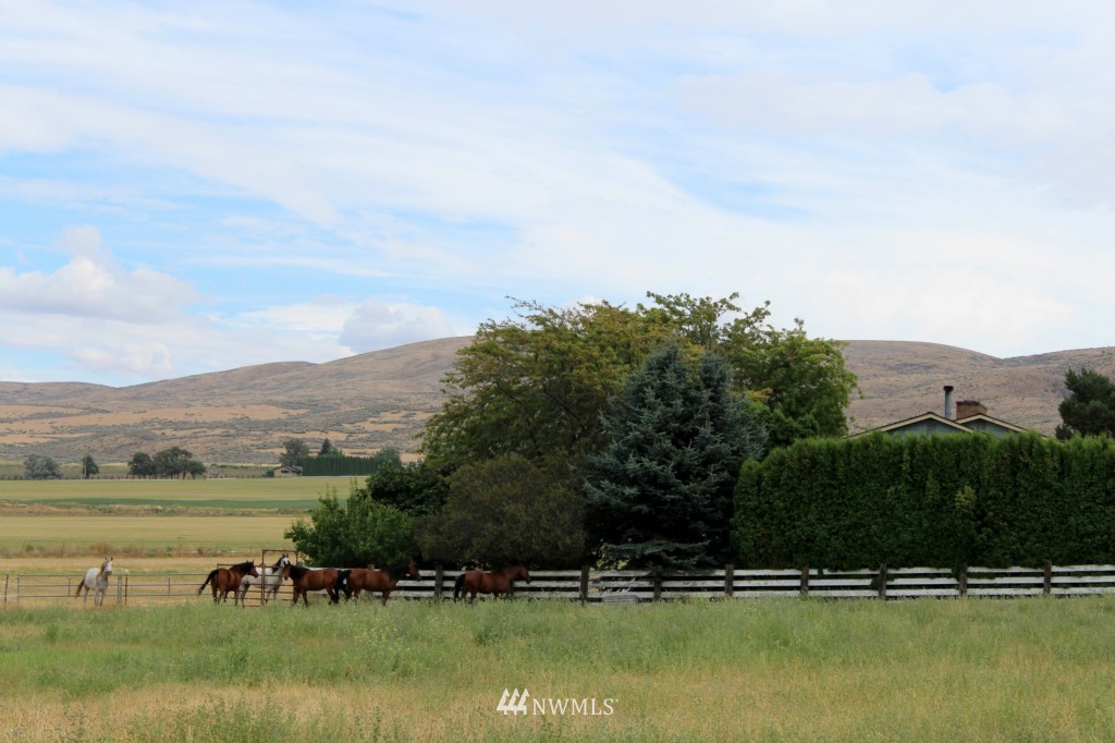 1840 Lawrence Road Ellensburg, WA 98926 - Photo 24 of 24 Gallery Image 24