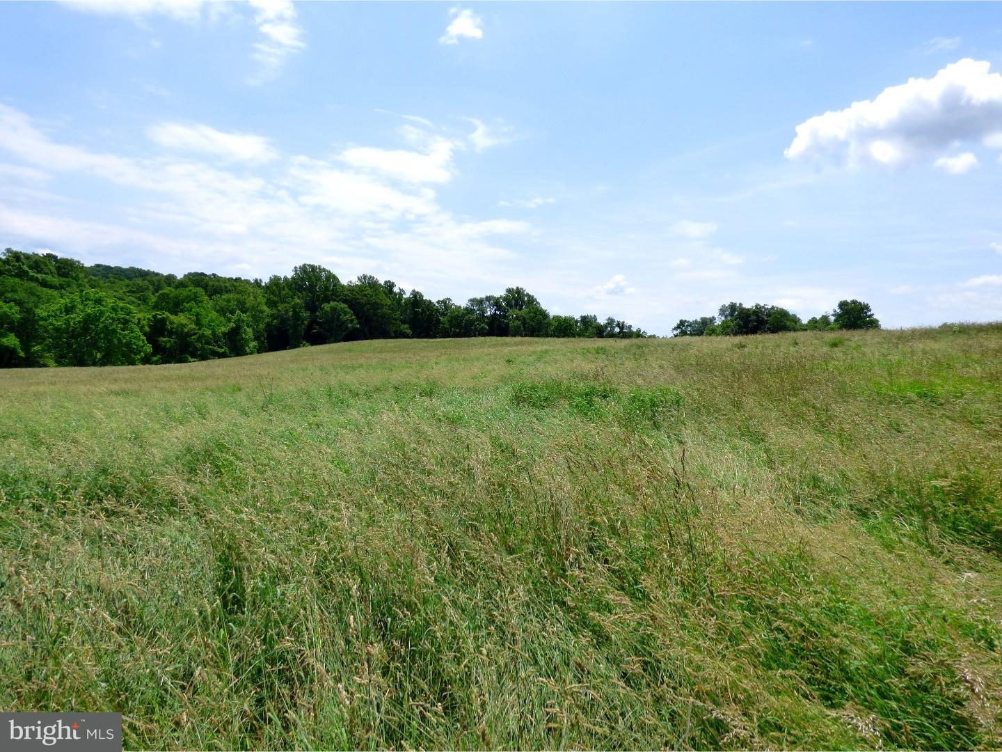 960 WEST Rd Grove West Grove, PA 19390 - Photo 10 of 38 Gallery Image 10