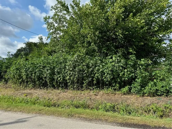 $45,000 | 0 Lot 20 Maple Street, St. Bernard, LA 70085