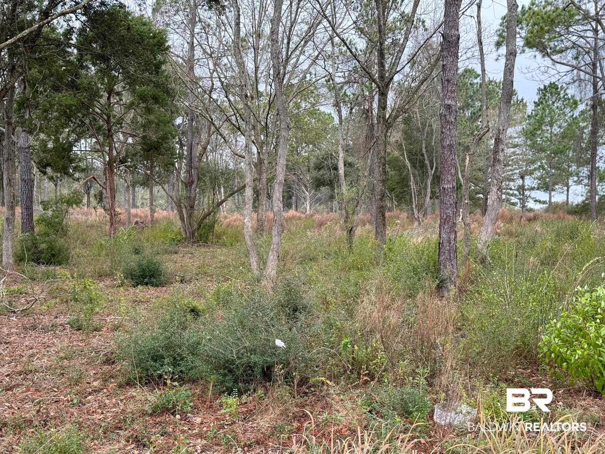0 Old Brady Road Loxley, AL 36551 - Photo 2 of 7