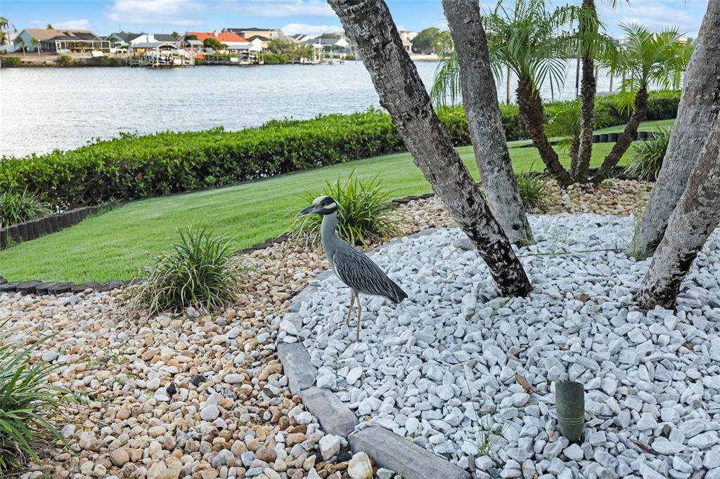 6605 Seabird Way Apollo Beach, FL 33572 - Photo 49 of 52 a view of a garden with a lake view