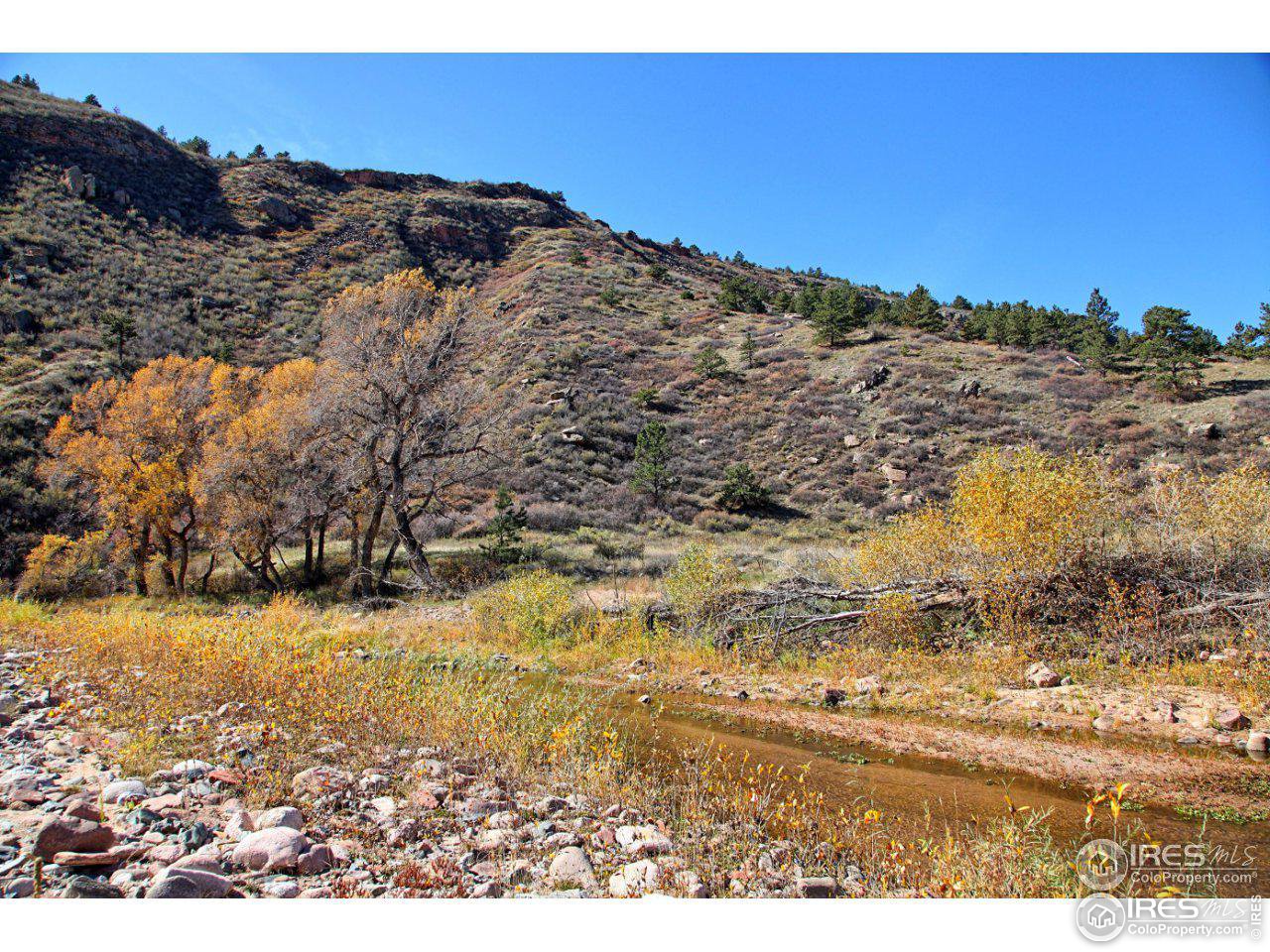 1115 Vision Way Lyons, CO 80540 - Photo 4 of 9