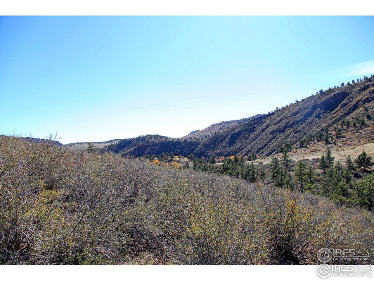 1115 Vision Way Lyons, CO 80540 - Photo 5 of 9