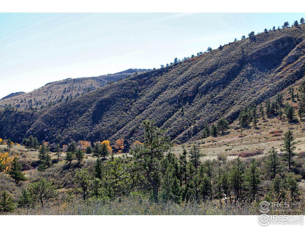 1115 Vision Way Lyons, CO 80540 - Photo 8 of 9