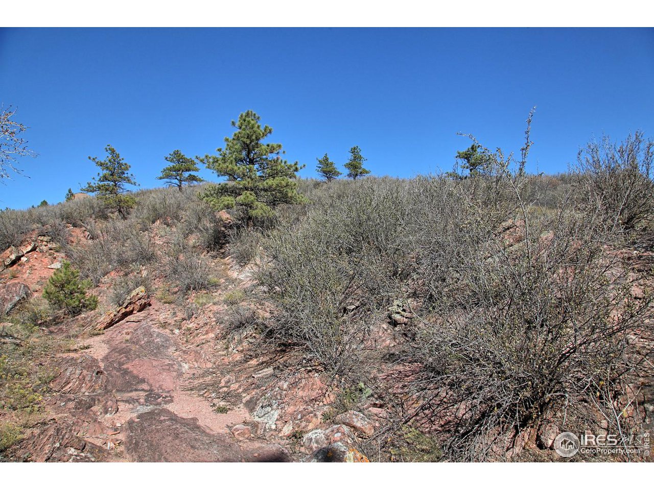 1115 Vision Way Lyons, CO 80540 - Photo 9 of 9