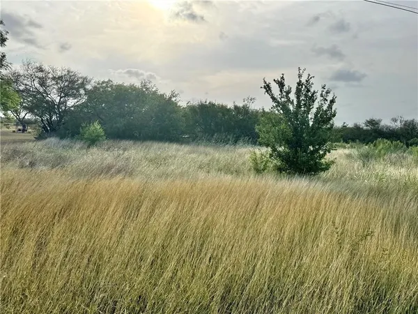 a view of a lake from a yard