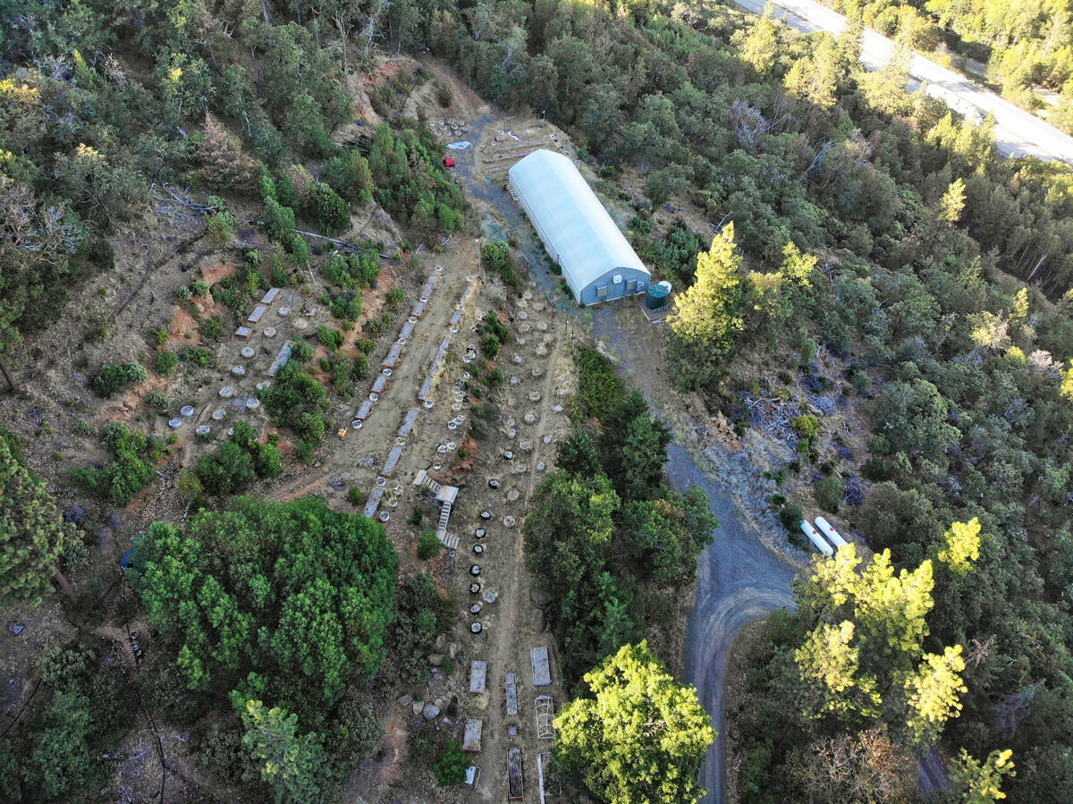 1650 Neil Creek Road Ashland, OR 97520 - Photo 26 of 48 DJI_0085.jpg.26