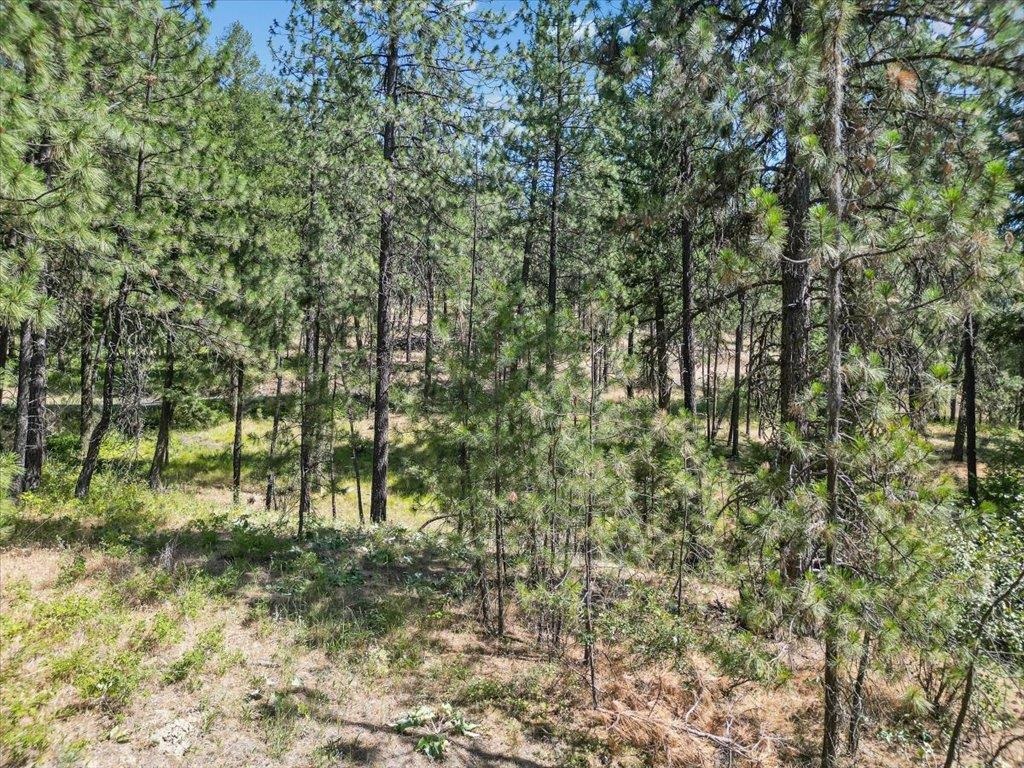 Nka Weaver Road, Unit LOT 2 OF LOT 1 Deer Park, WA 99006 - Photo 11 of 15