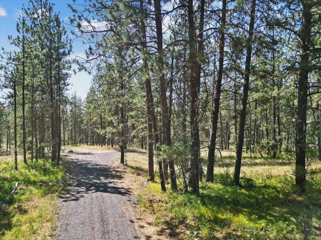 Nka Weaver Road, Unit LOT 2 OF LOT 1 Deer Park, WA 99006 - Photo 12 of 15