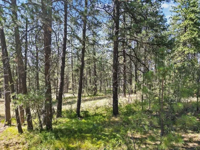 $145,000 | Nka Weaver Road, Unit LOT 2 OF LOT 1, Deer Park, WA 99006