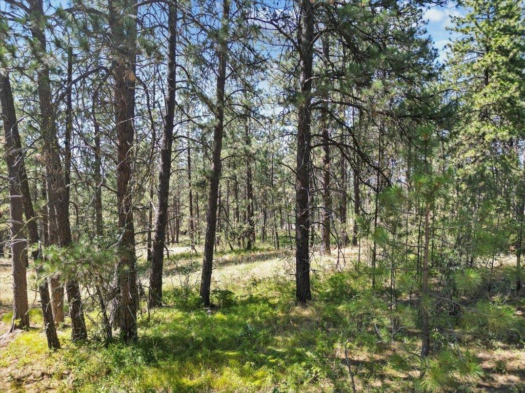 Nka Weaver Road, Unit LOT 2 OF LOT 1 Deer Park, WA 99006 - Photo 13 of 15