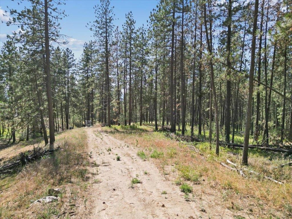 Nka Weaver Road, Unit LOT 2 OF LOT 1 Deer Park, WA 99006 - Photo 14 of 15