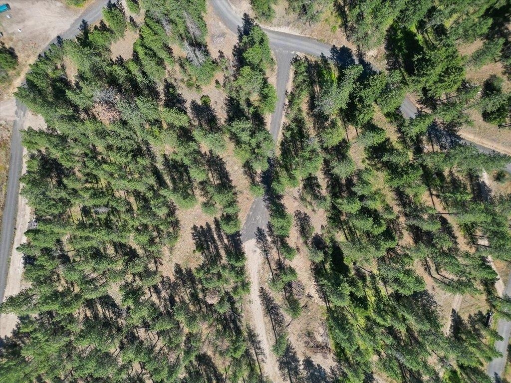 Nka Weaver Road, Unit LOT 2 OF LOT 1 Deer Park, WA 99006 - Photo 15 of 15