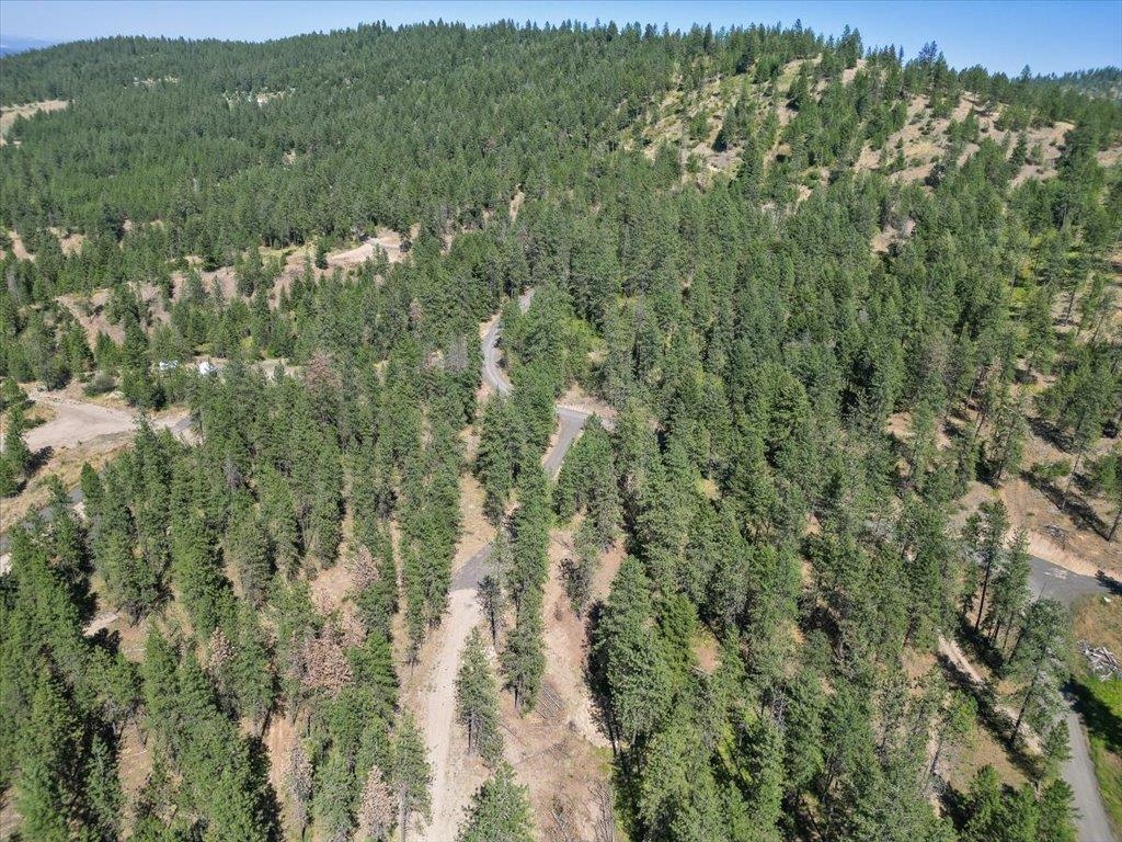 Nka Weaver Road, Unit LOT 2 OF LOT 1 Deer Park, WA 99006 - Photo 6 of 15