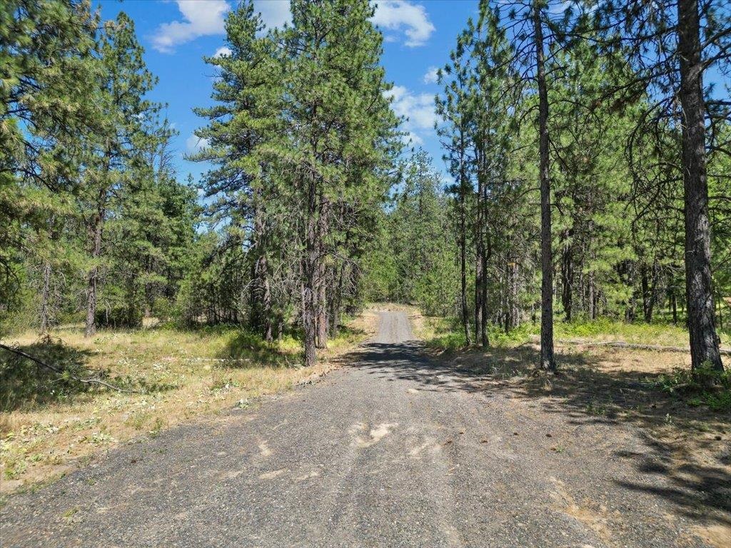 Nka Weaver Road, Unit LOT 2 OF LOT 1 Deer Park, WA 99006 - Photo 7 of 15