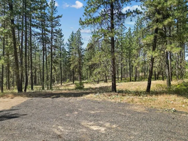 $145,000 | Nka Weaver Road, Unit LOT 2 OF LOT 1, Deer Park, WA 99006