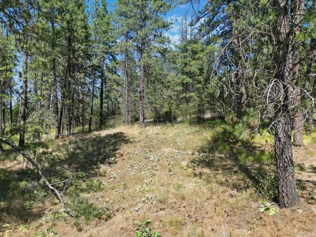 $145,000 | Nka Weaver Road, Unit LOT 2 OF LOT 1, Deer Park, WA 99006