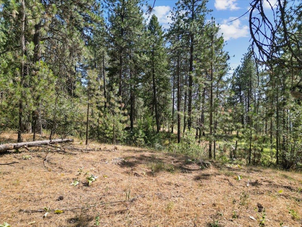 Nka Weaver Road, Unit LOT 2 OF LOT 1 Deer Park, WA 99006 - Photo 10 of 15