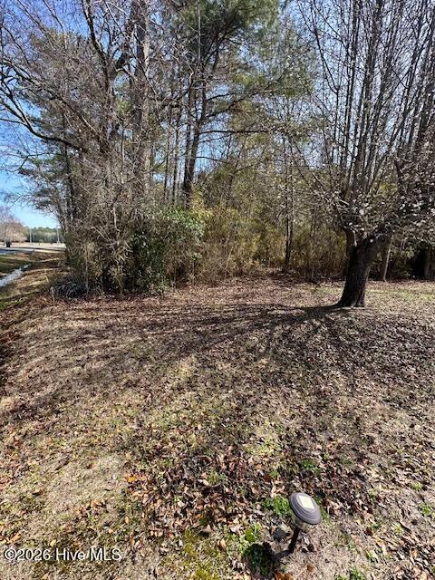 7613 Princess Ann Road Evergreen, NC 28438 - Photo 25 of 28 IMG_8525
