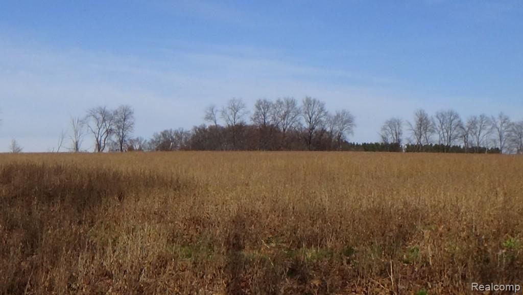20-acres Meadowlawn Road Fowlerville, MI 48836 - Photo 5 of 9