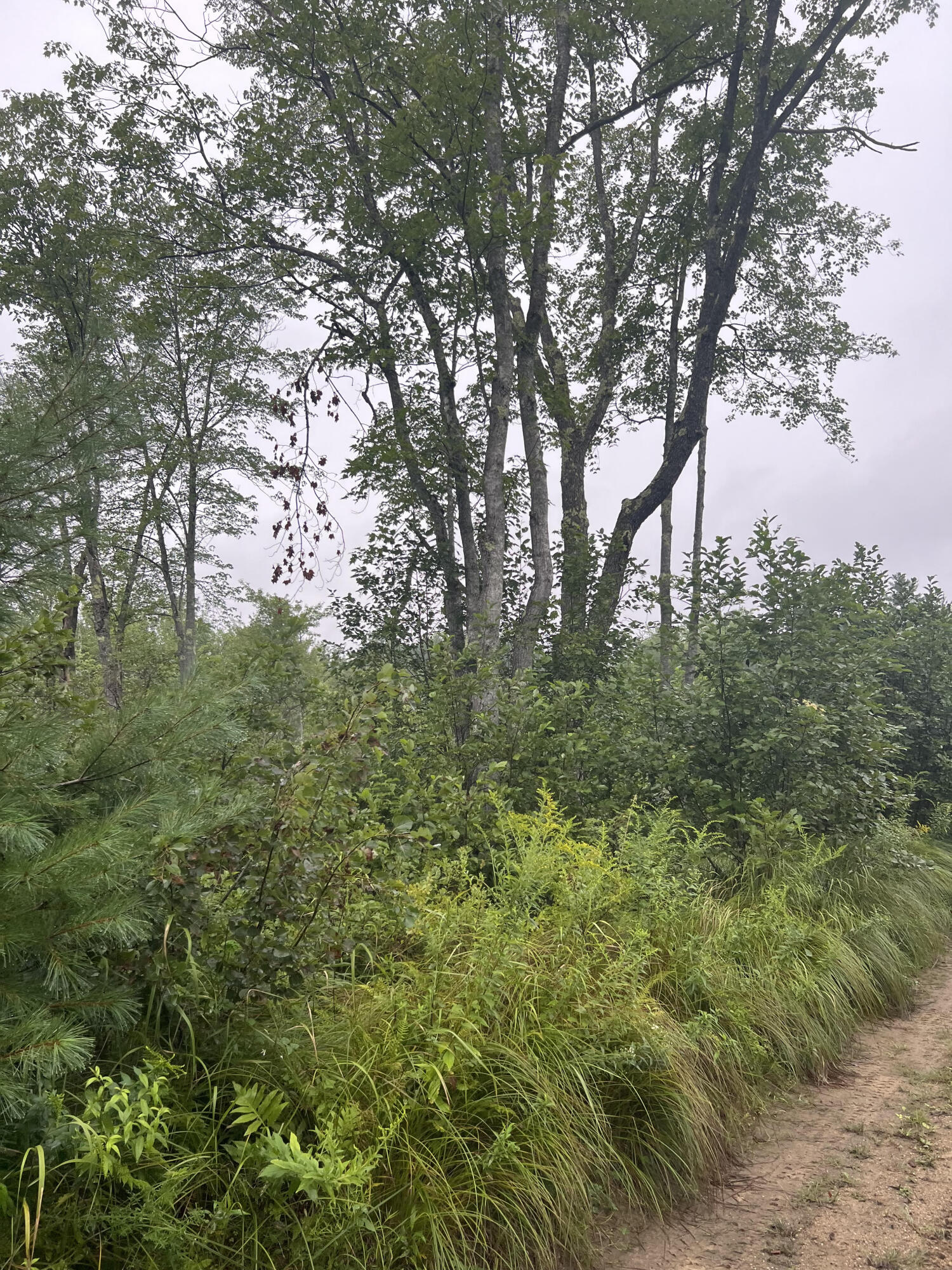 1 Old Middle Road Limerick, ME 04048 - Photo 3 of 4 888