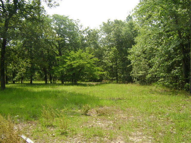 168 Oleander Road Walterboro, SC 29488 - Photo 1 of 4 001